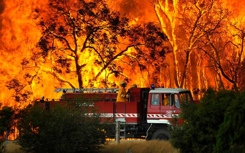 Are you in a Bushfire Zone?